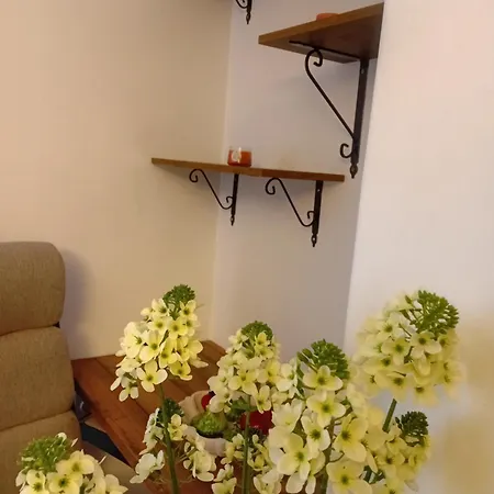 Apartamento Obsidian 2 - Modern Near Airport With Free Parking Saraievo