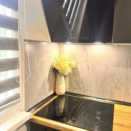 Obsidian 2 - Modern Near Airport With Free Parking * Saraievo